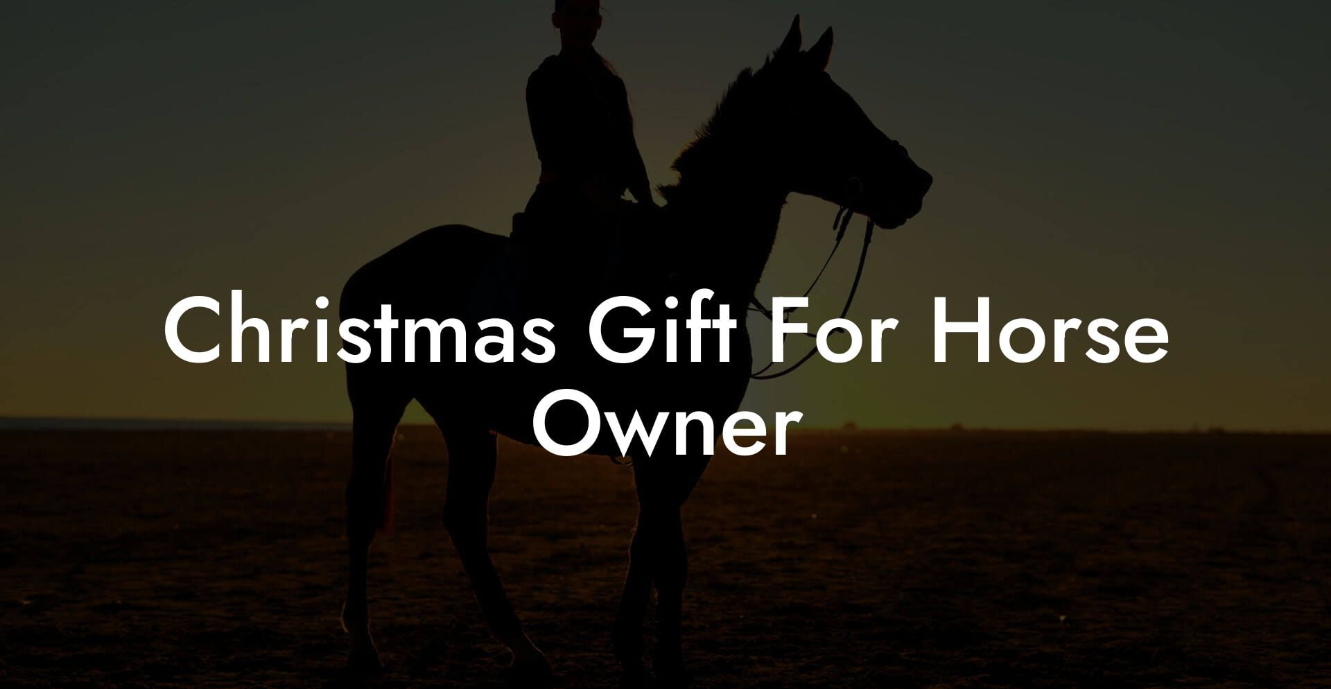 Christmas Gift For Horse Owner