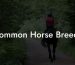 Common Horse Breeds