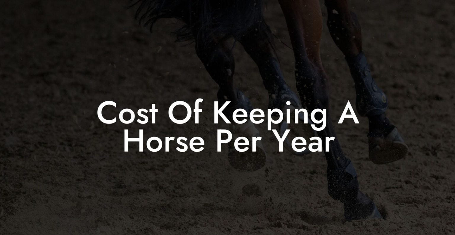 Cost Of Keeping A Horse Per Year How To Own a Horse