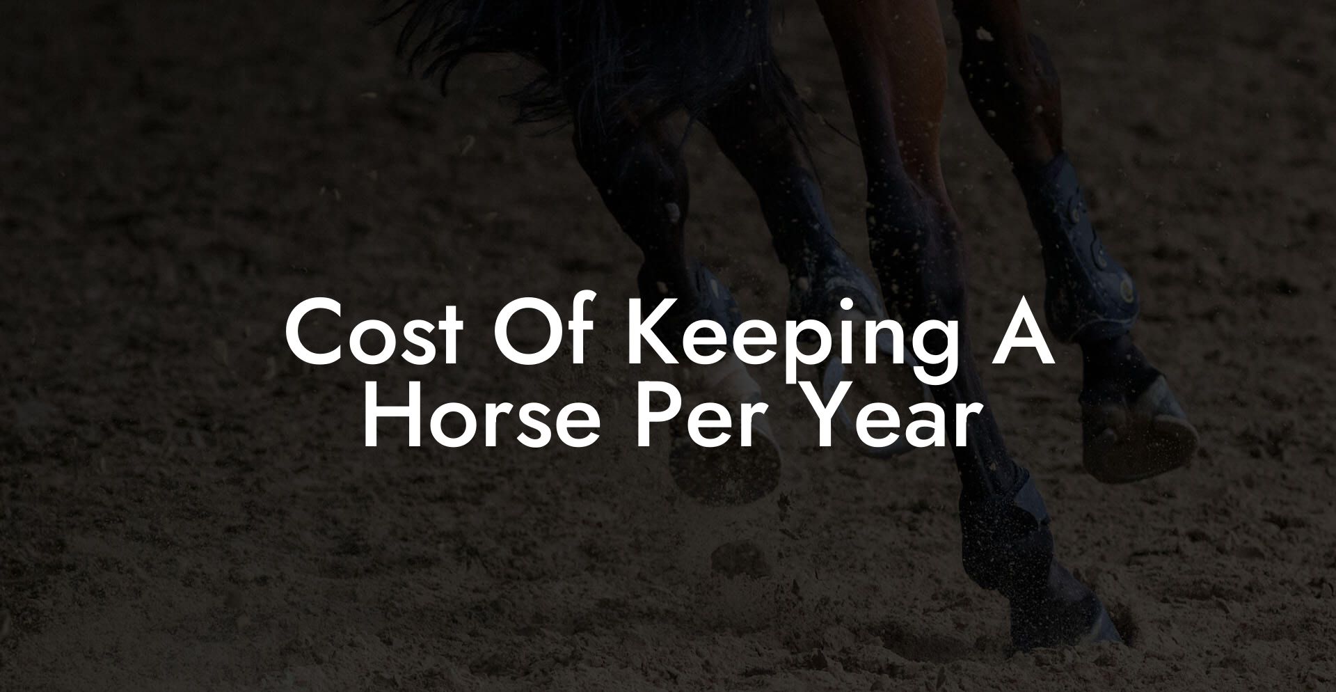 Cost Of Keeping A Horse Per Year