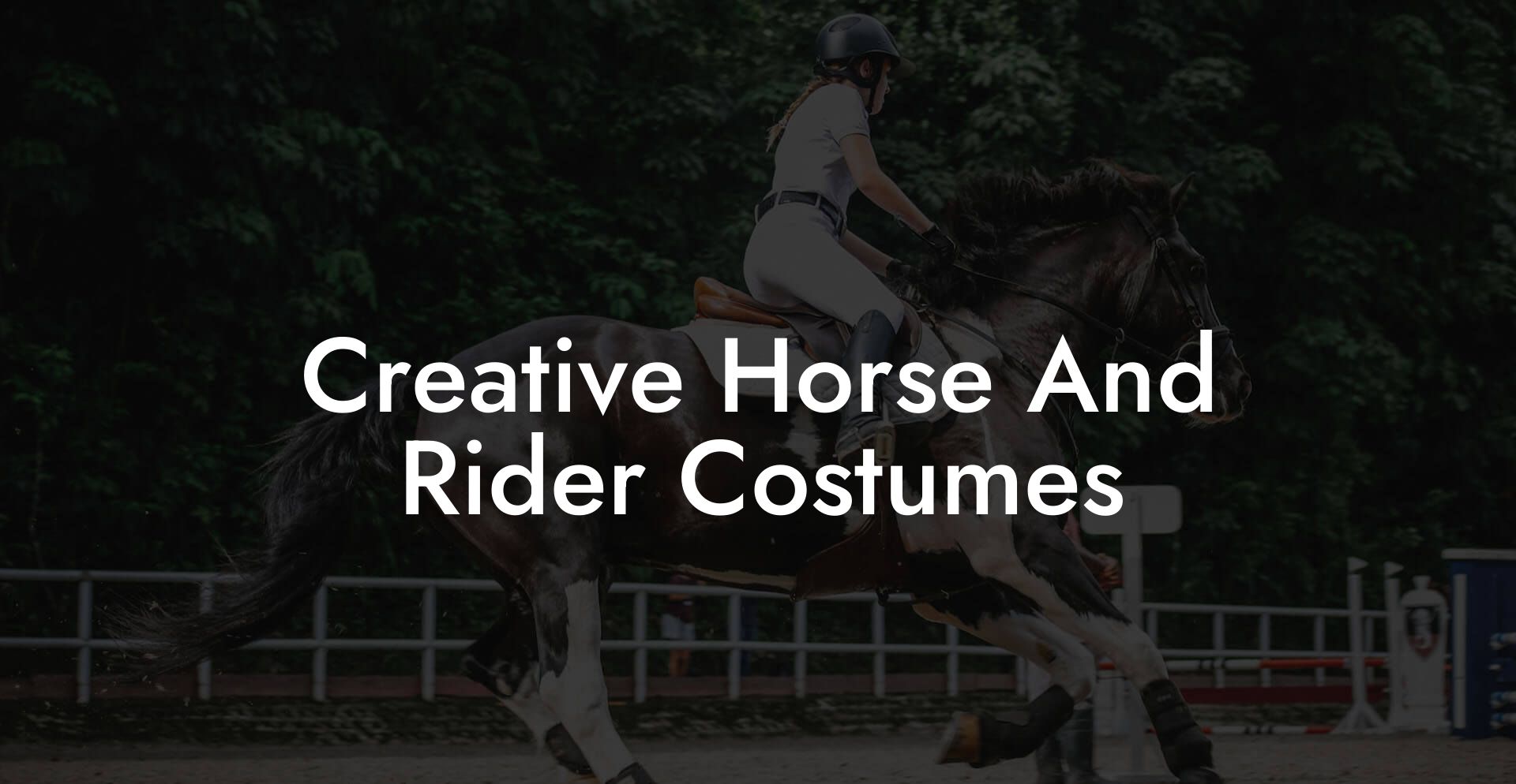 Creative Horse And Rider Costumes