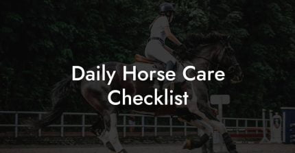 Daily Horse Care Checklist - How To Own a Horse