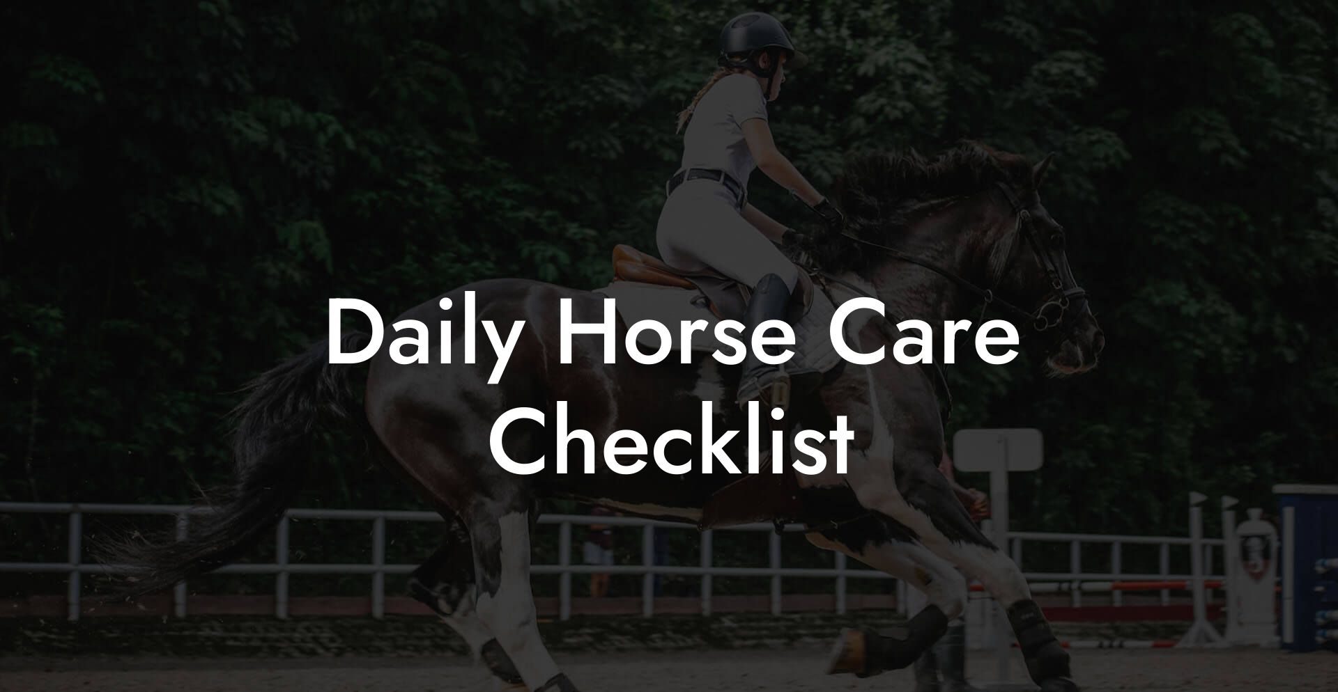 Daily Horse Care Checklist