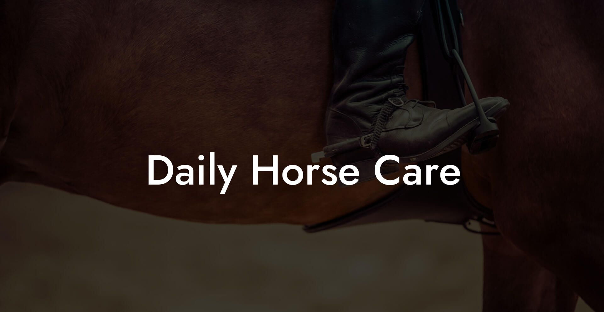 Daily Horse Care