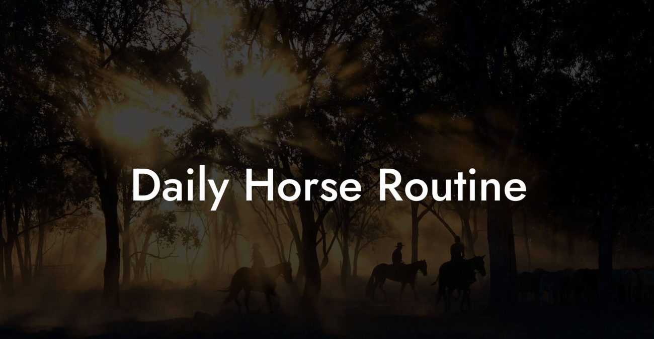 Daily Horse Routine