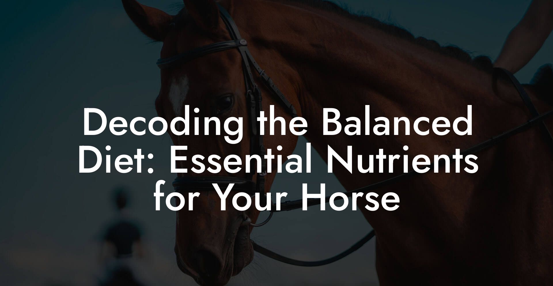 Decoding the Balanced Diet: Essential Nutrients for Your Horse