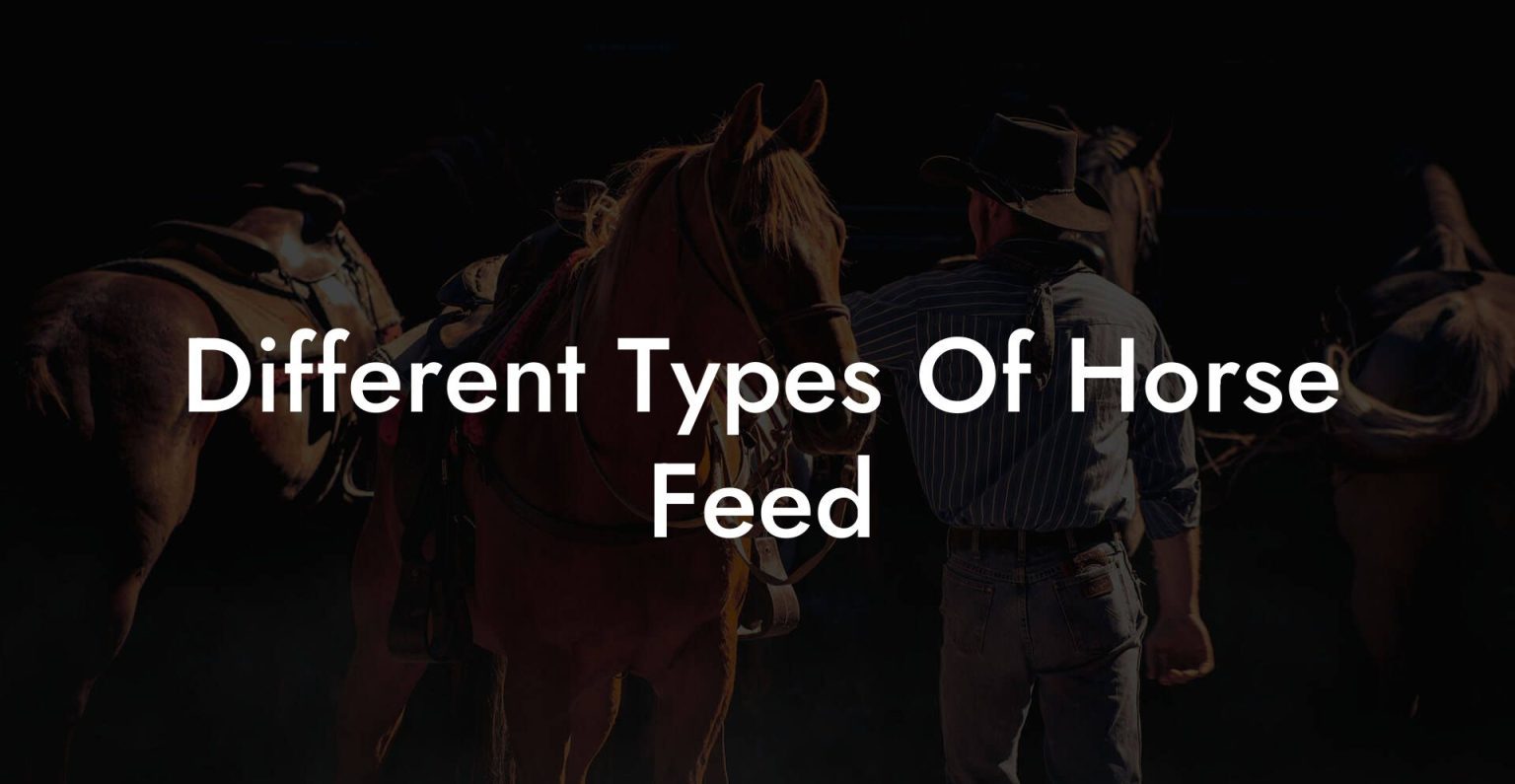 Different Types Of Horse Feed How To Own a Horse