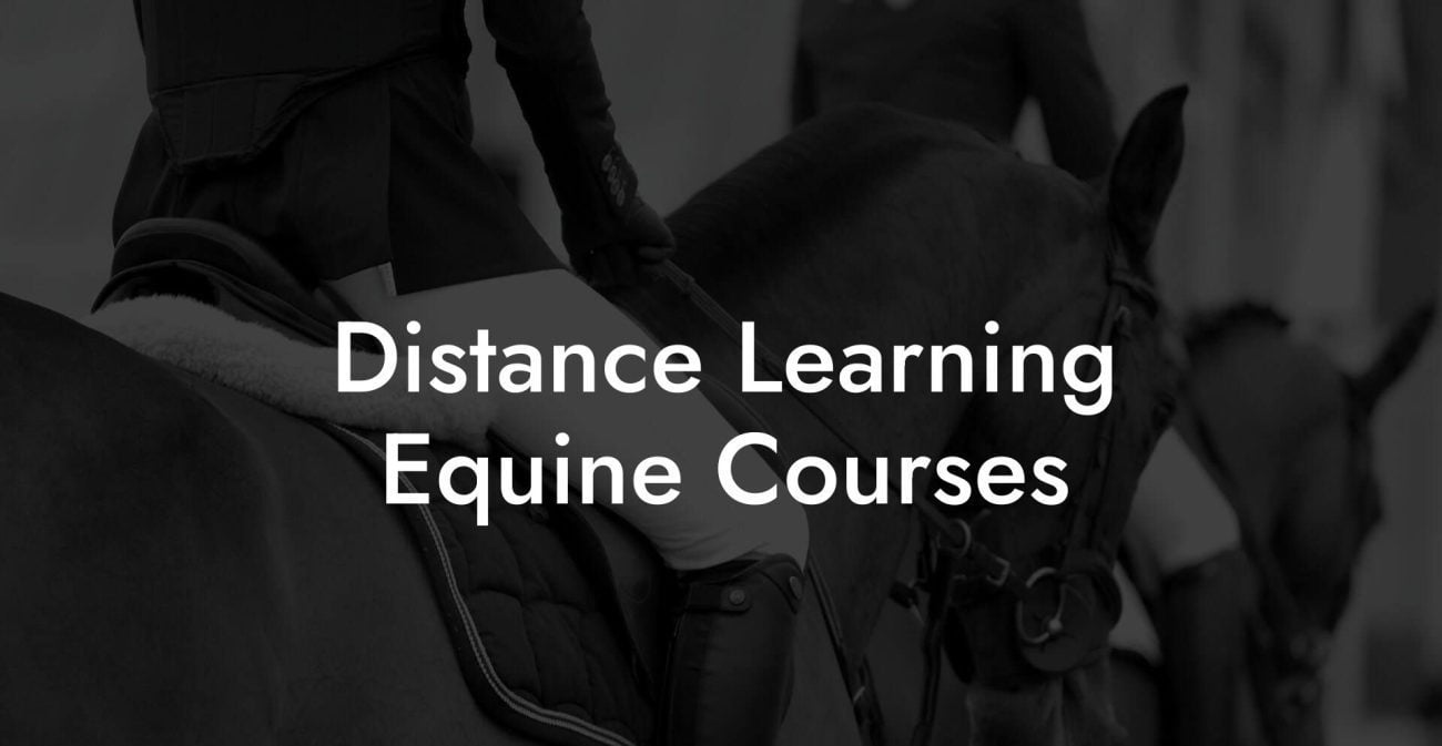 Distance Learning Equine Courses