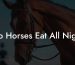 Do Horses Eat All Night