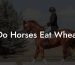 Do Horses Eat Wheat