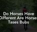Do Horses Have Different Are Horses Tases Bubs