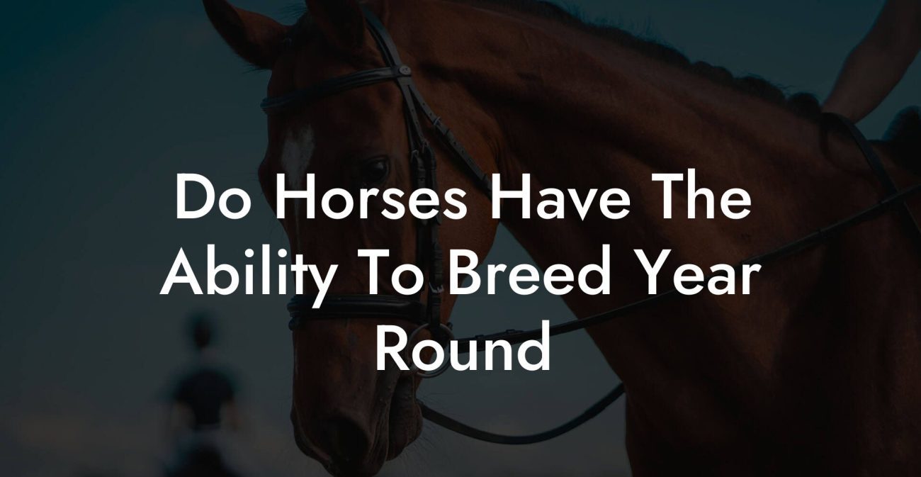 Do Horses Have The Ability To Breed Year Round