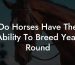 Do Horses Have The Ability To Breed Year Round