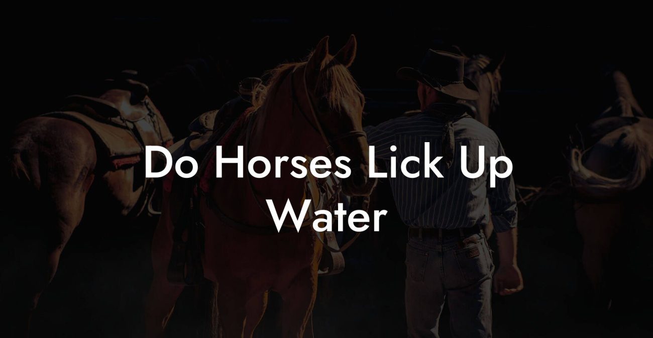 Do Horses Lick Up Water