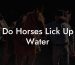 Do Horses Lick Up Water