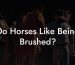Do Horses Like Being Brushed?