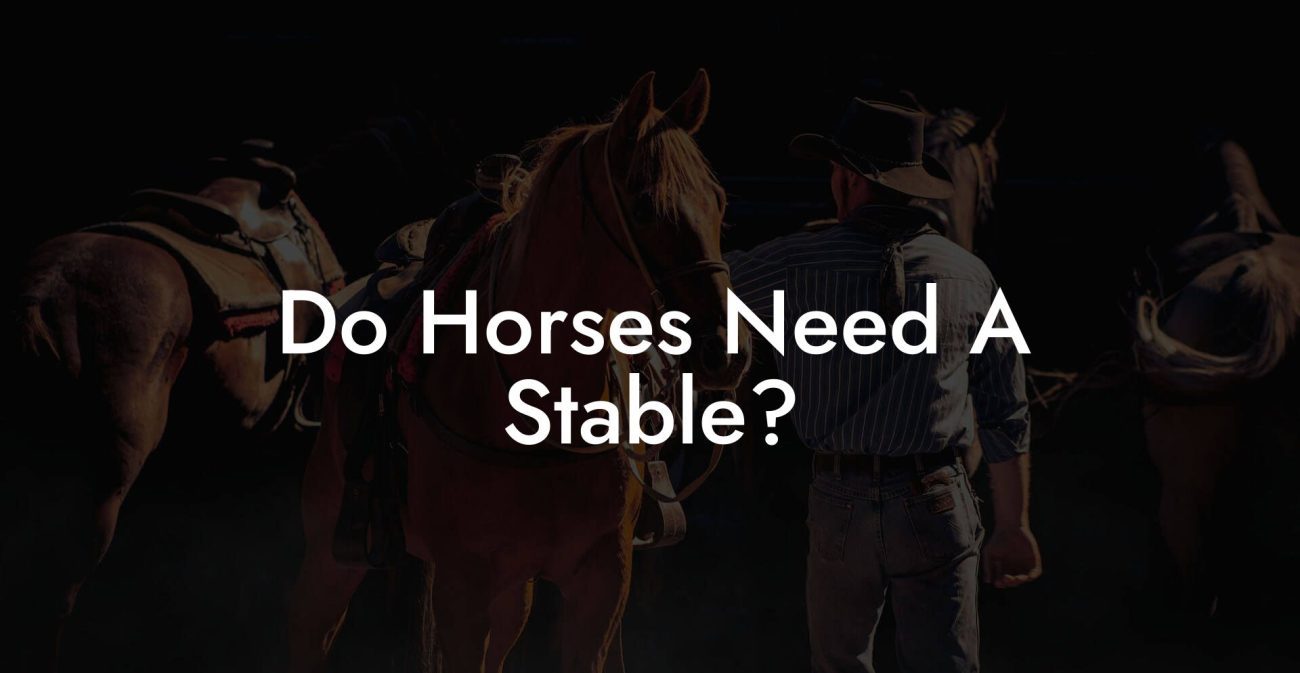 Do Horses Need A Stable?