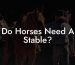 Do Horses Need A Stable?