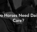 Do Horses Need Daily Care?
