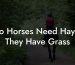 Do Horses Need Hay If They Have Grass