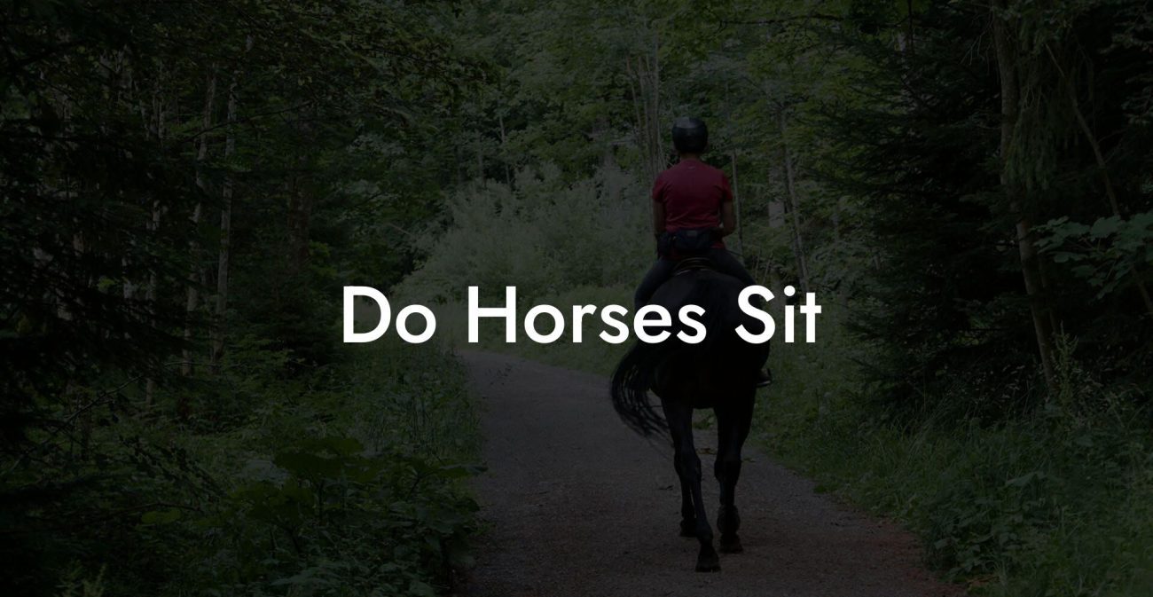 Do Horses Sit