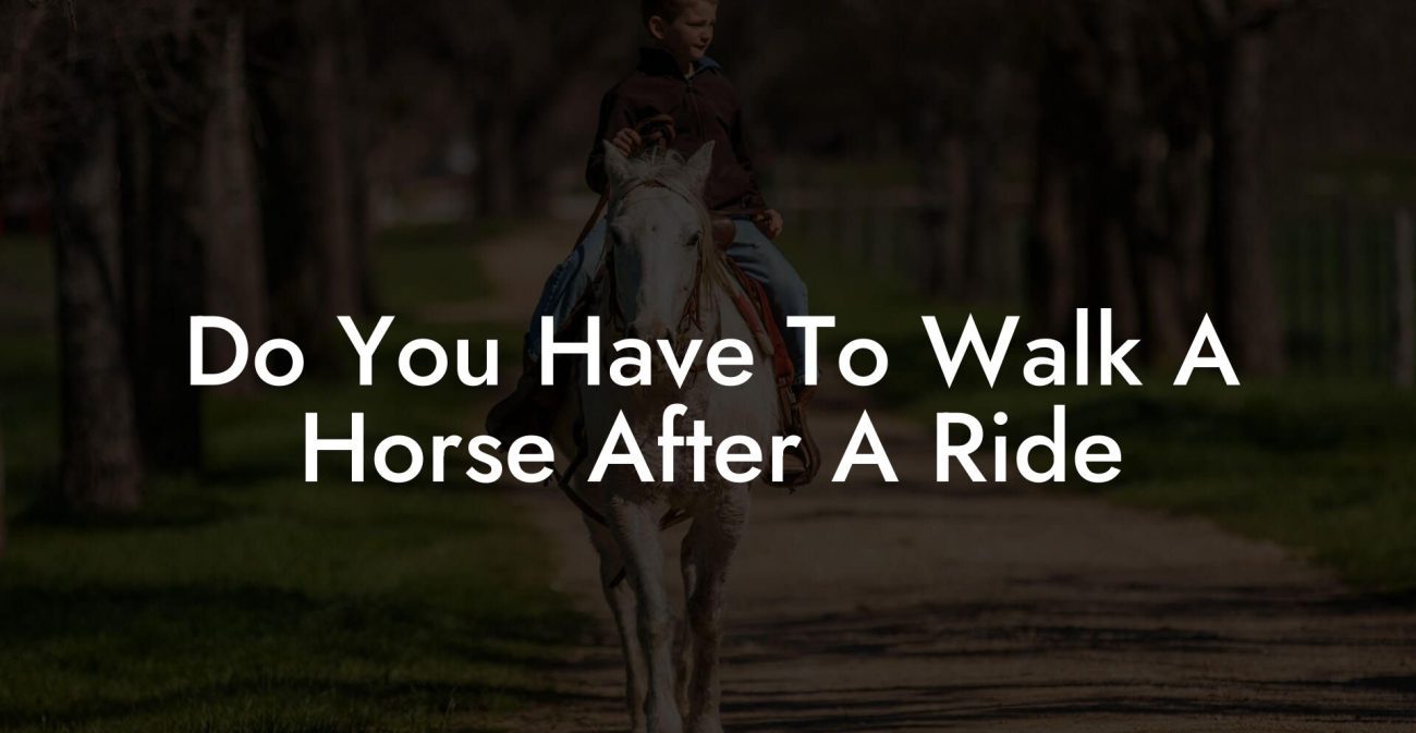 Do You Have To Walk A Horse After A Ride