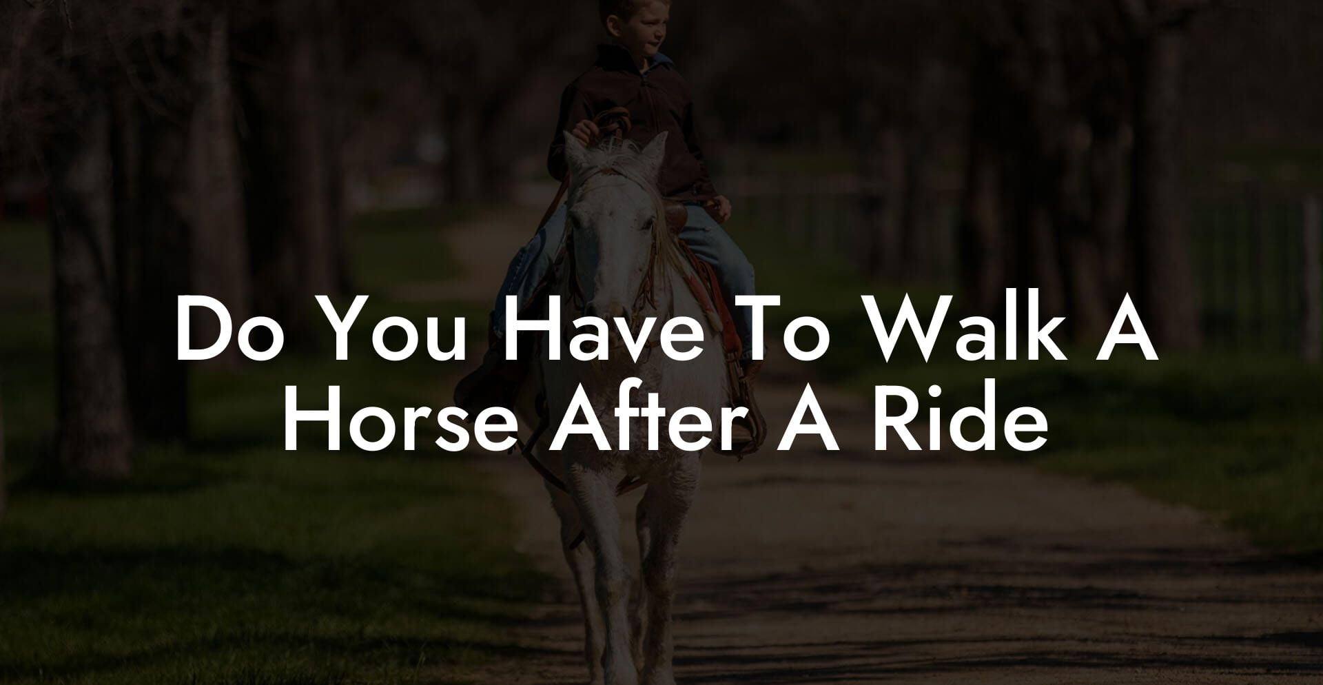 Do You Have To Walk A Horse After A Ride