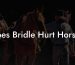 Does Bridle Hurt Horse?