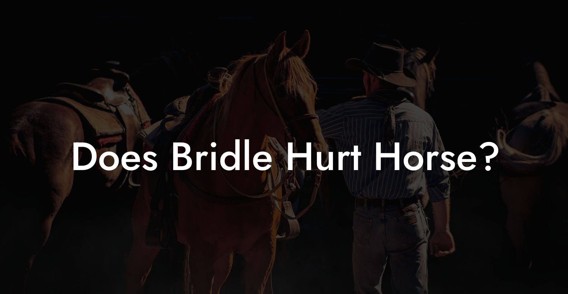 Does Bridle Hurt Horse?