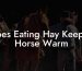 Does Eating Hay Keep A Horse Warm