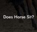 Does Horse Sit?