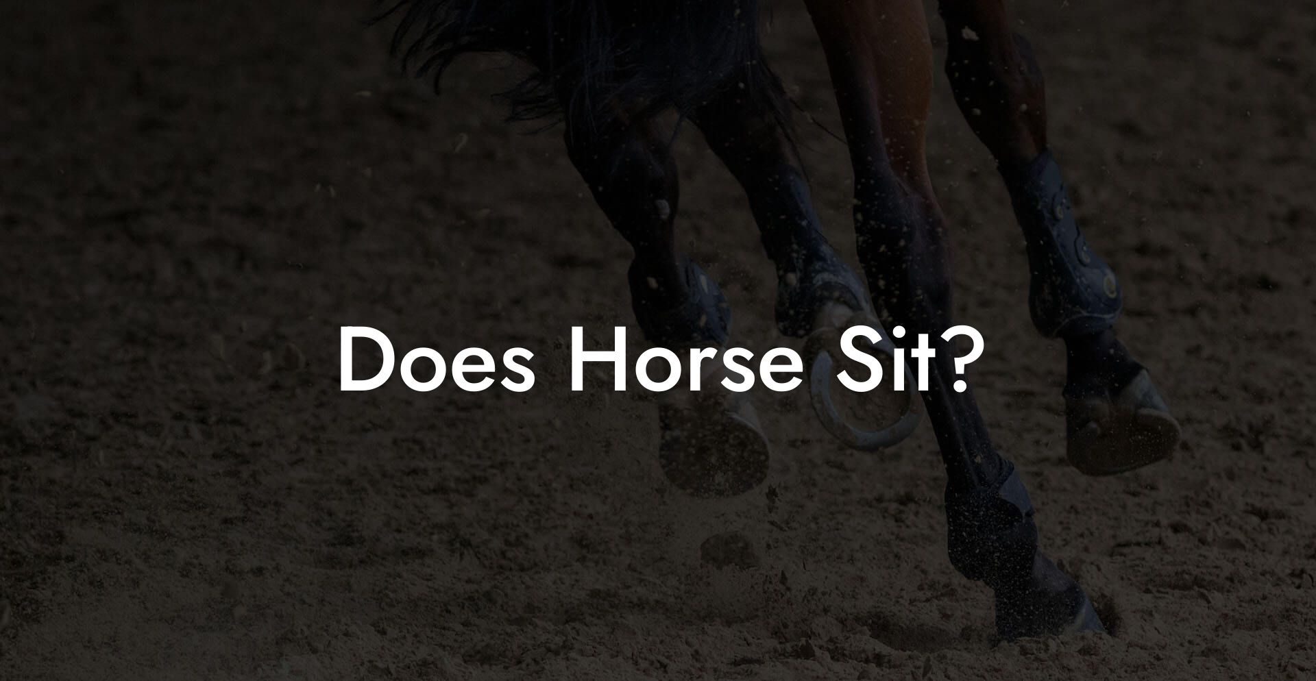 Does Horse Sit?