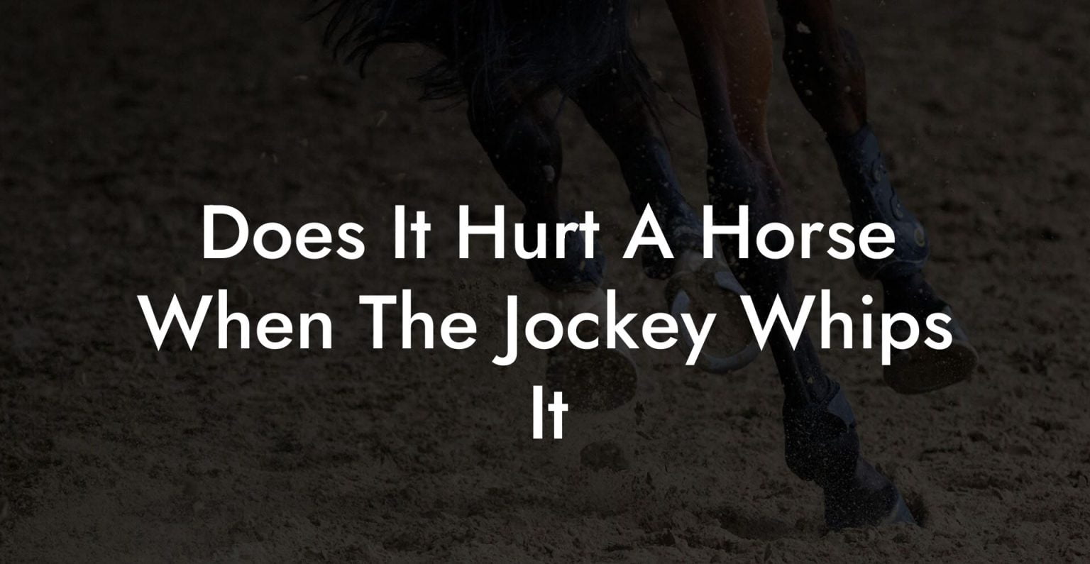 Does It Hurt A Horse When The Jockey Whips It How To Own a Horse