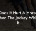 Does It Hurt A Horse When The Jockey Whips It