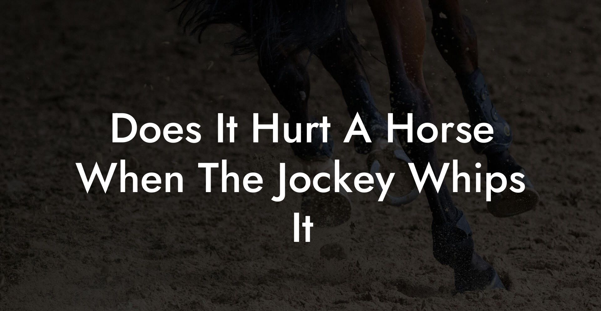 Does It Hurt A Horse When The Jockey Whips It