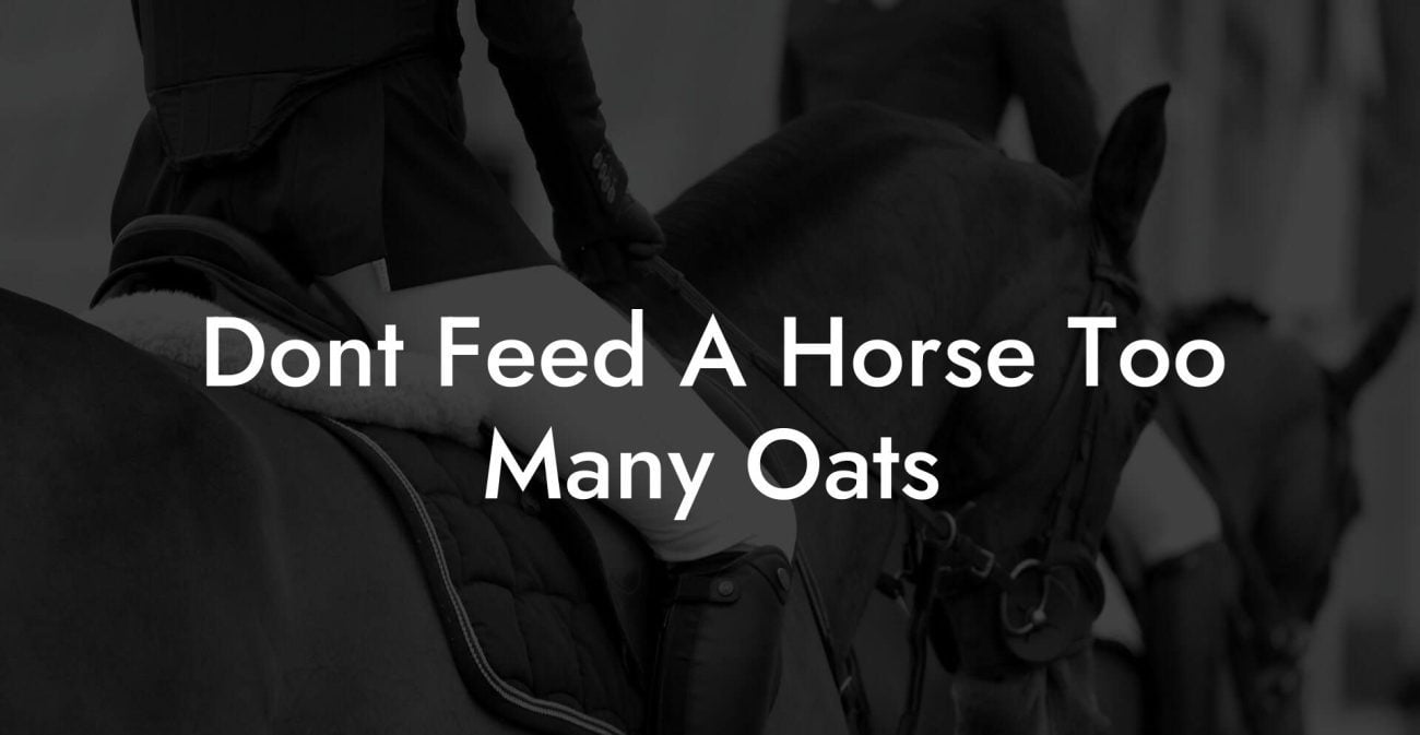 Dont Feed A Horse Too Many Oats