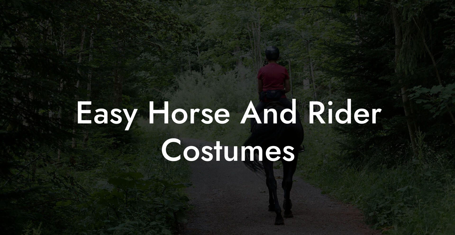 Easy Horse And Rider Costumes