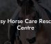 Easy Horse Care Rescue Centre