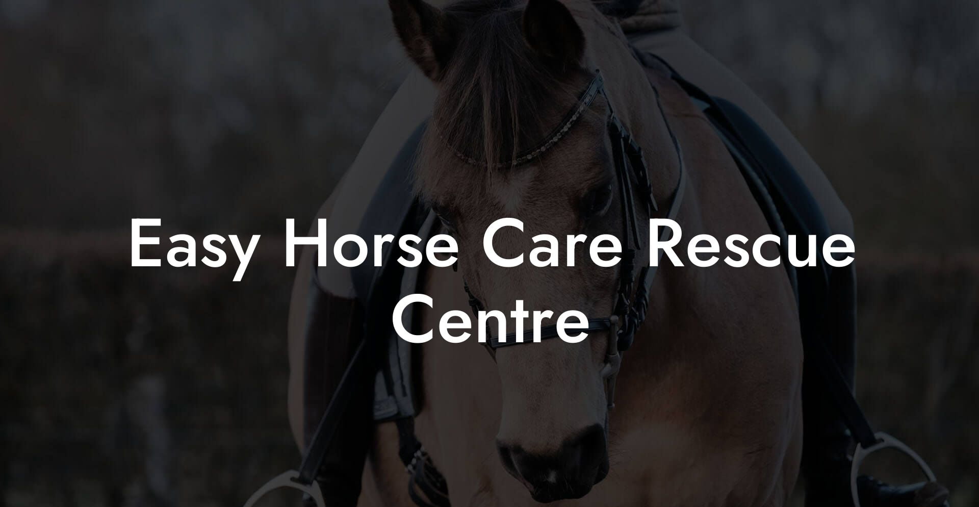 Easy Horse Care Rescue Centre