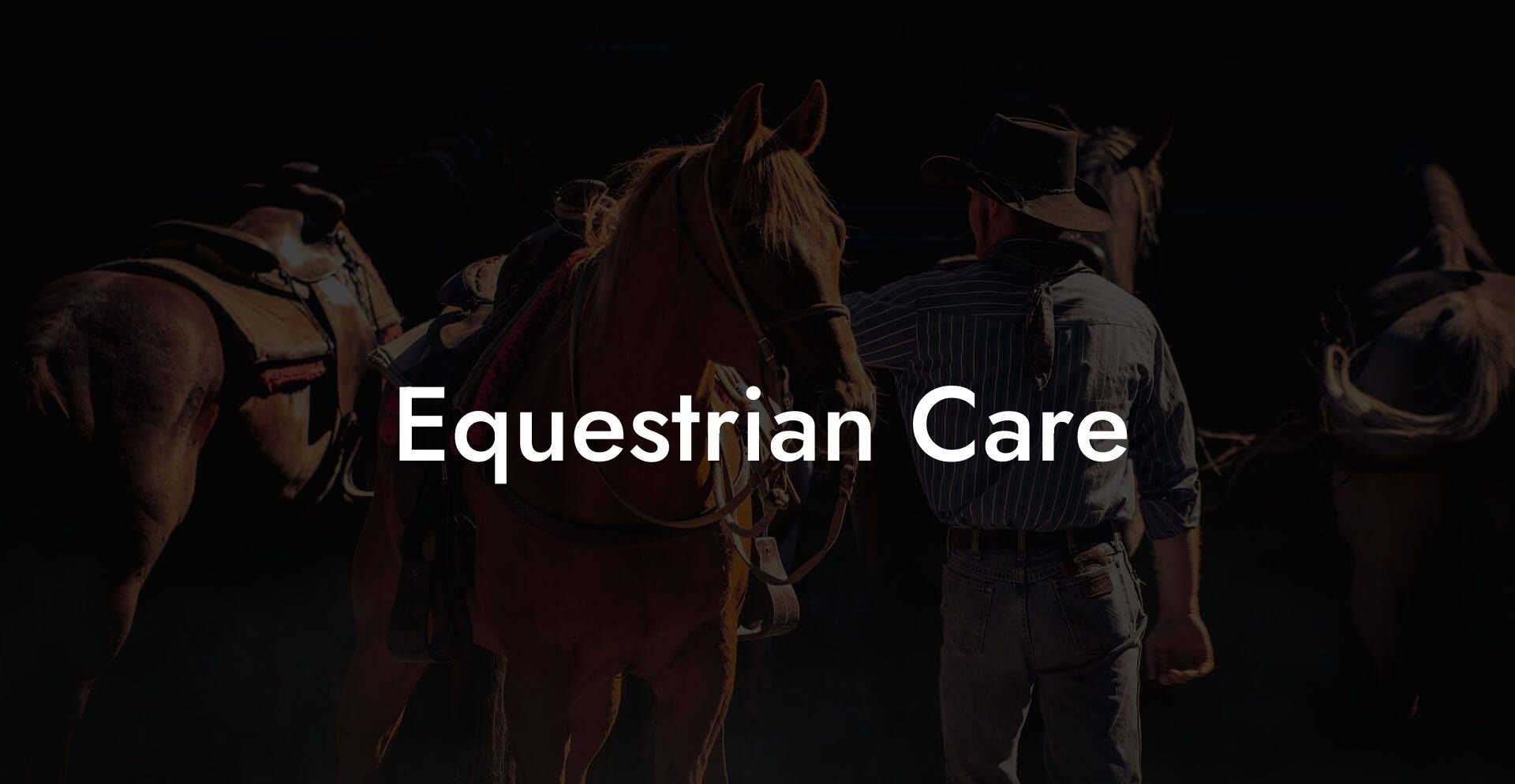Equestrian Care