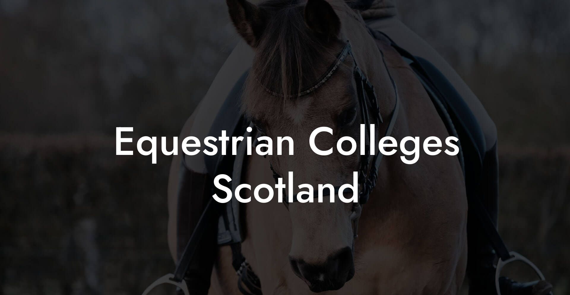 Equestrian Colleges Scotland