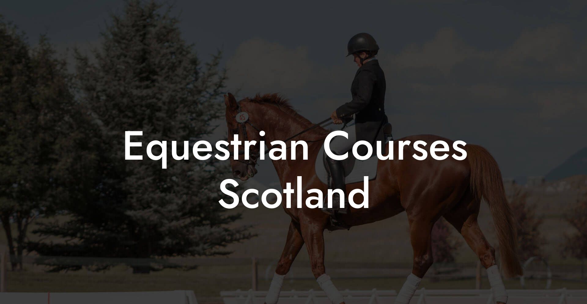 Equestrian Courses Scotland