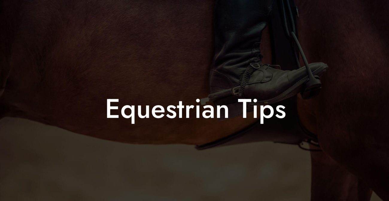 Equestrian Tips
