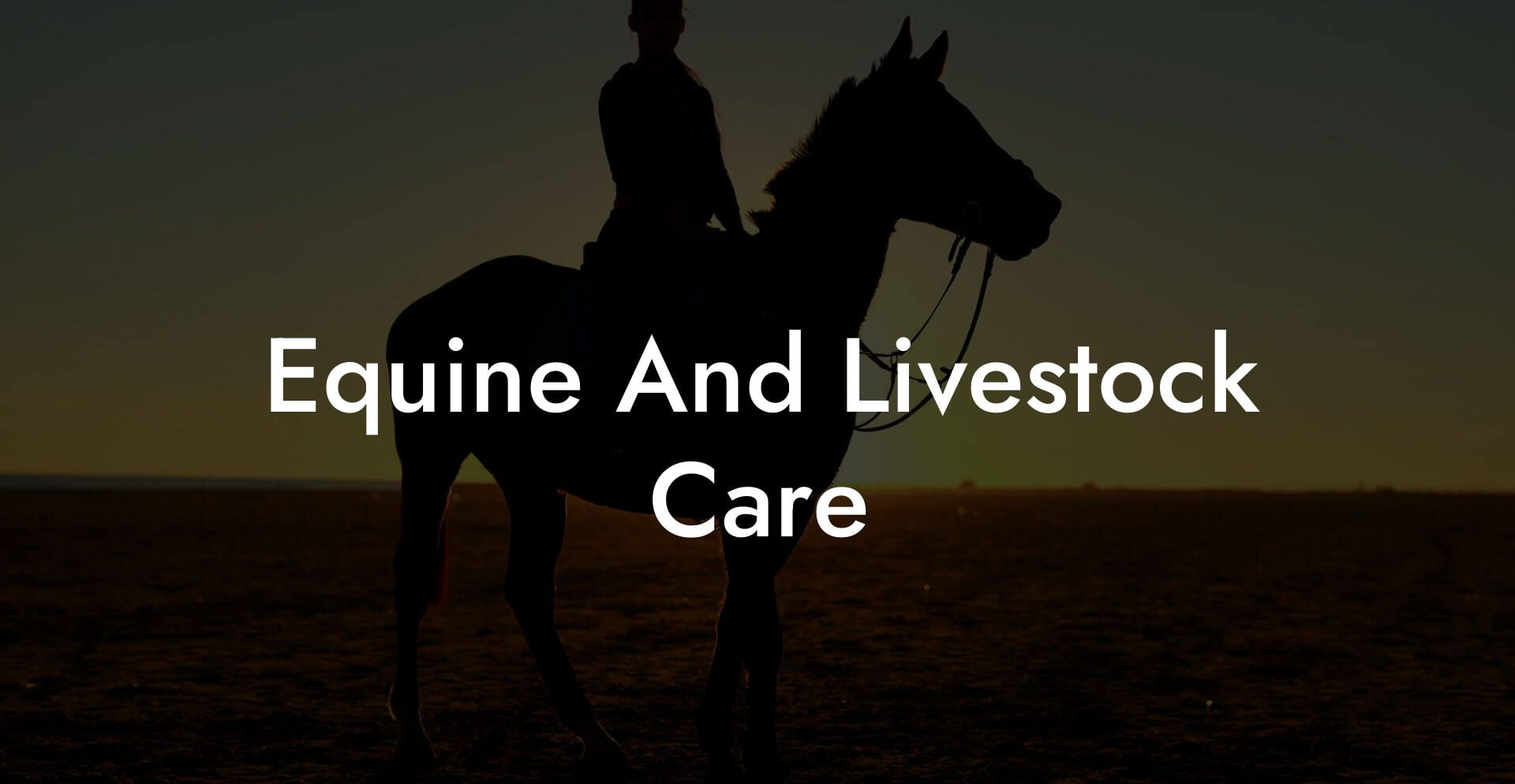 Equine And Livestock Care