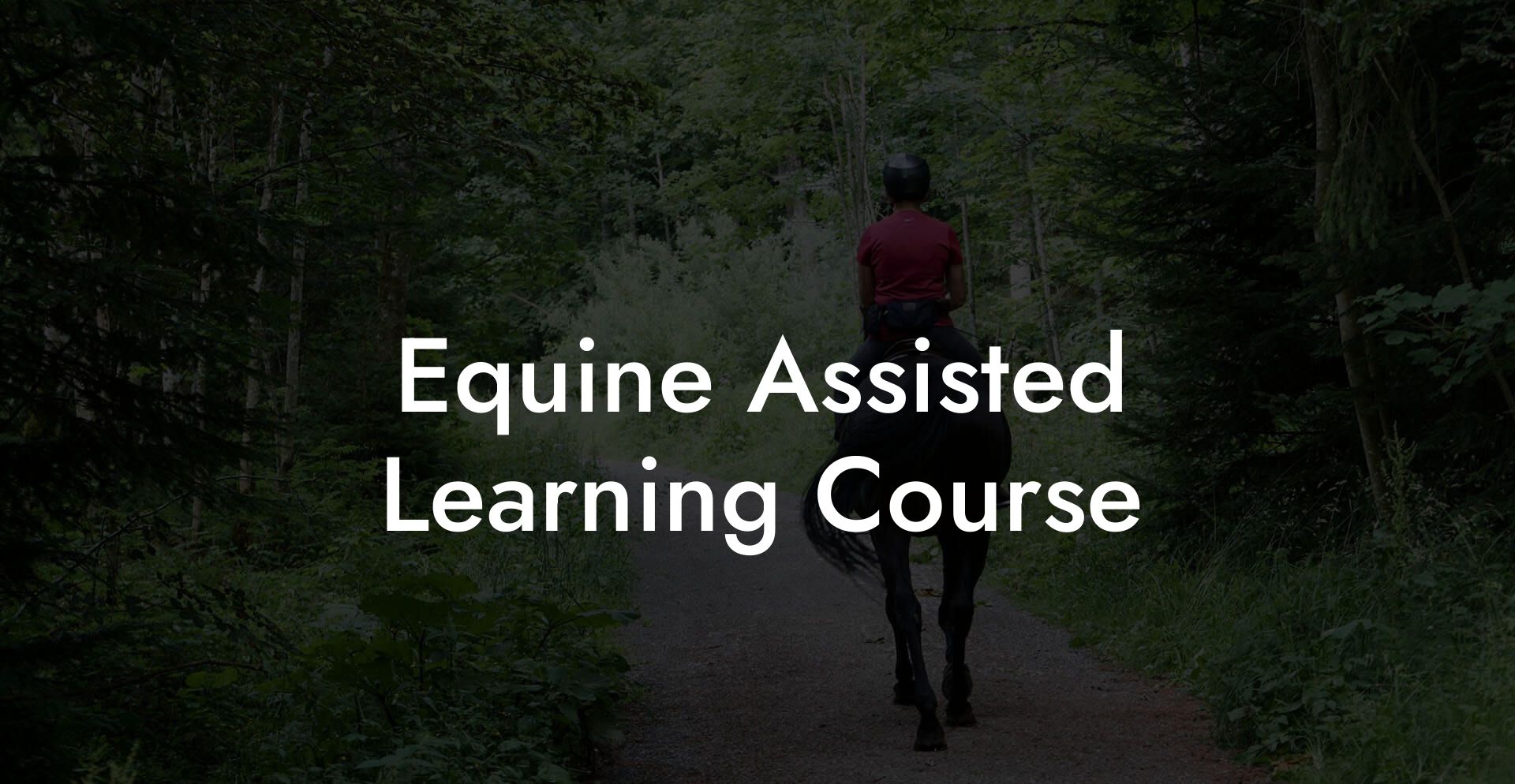 Equine Assisted Learning Course