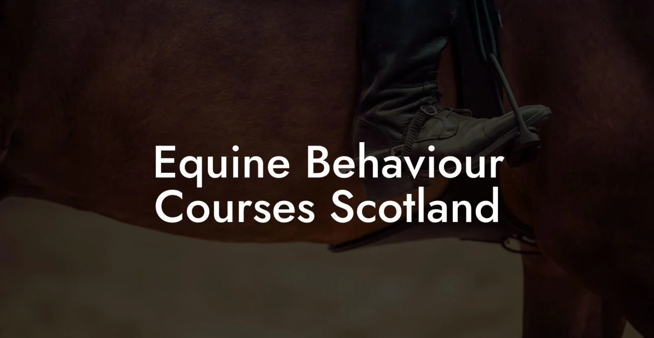 Equine Behaviour Courses Scotland