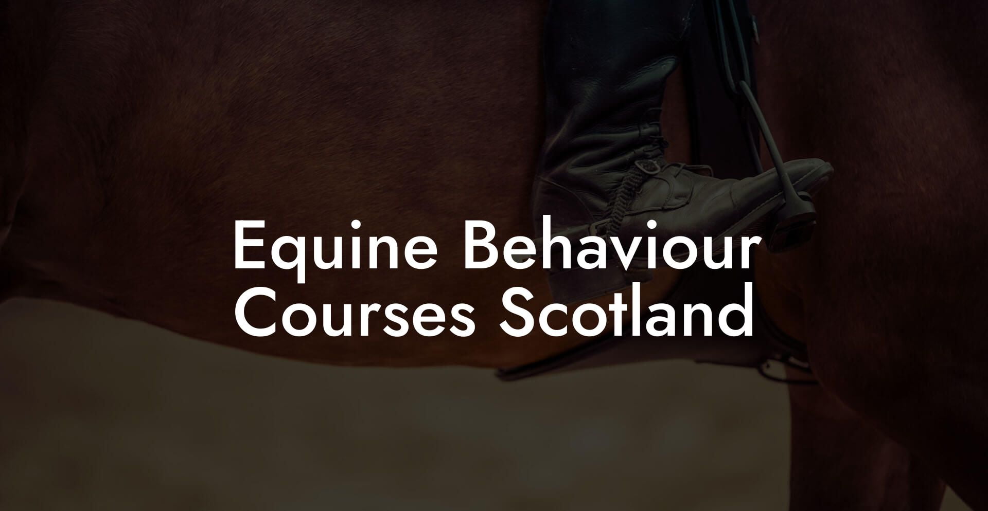 Equine Behaviour Courses Scotland