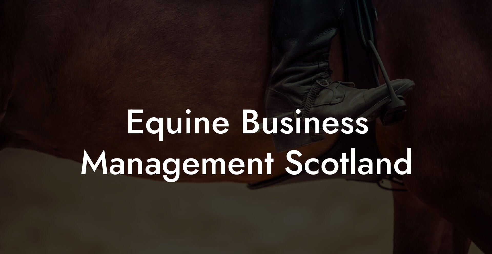 Equine Business Management Scotland