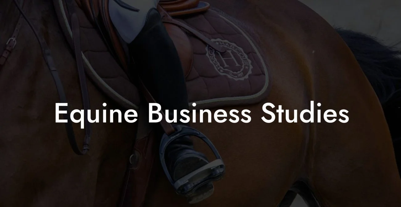 Equine Business Studies