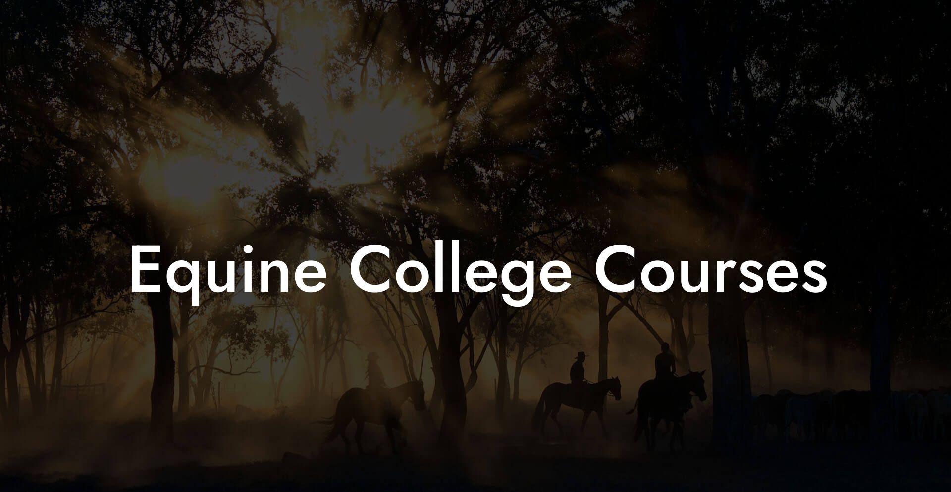 Equine College Courses